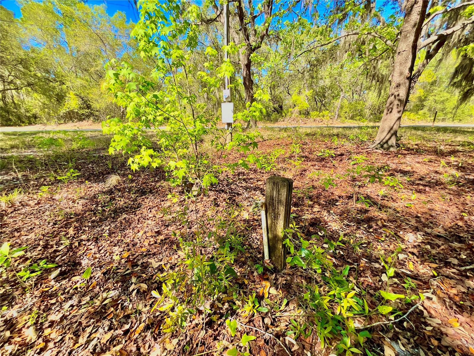 Image 5 of 12 For Lot 1 Se 16th Street