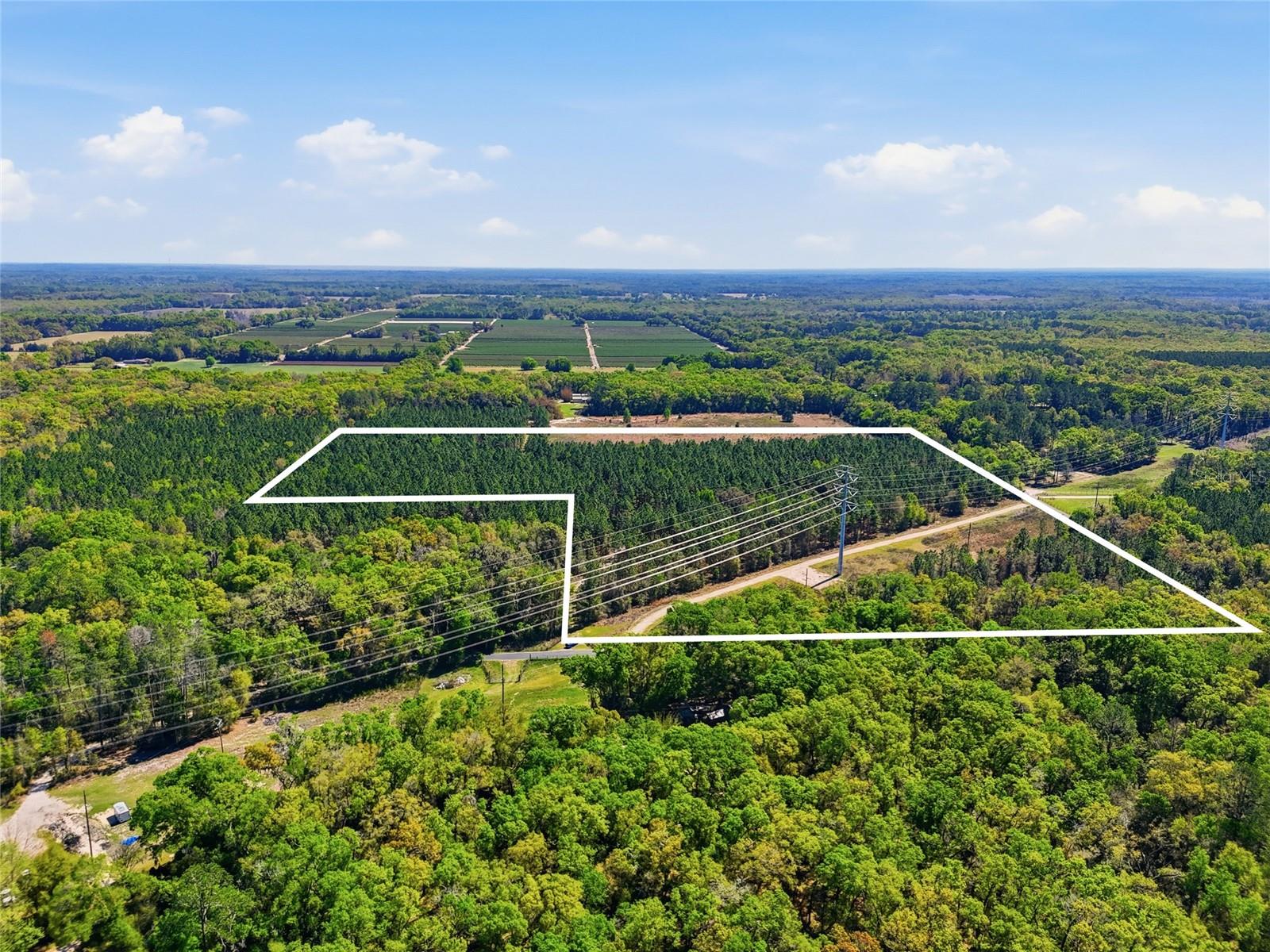 Image 12 of 12 For 11791 143rd Street Sw