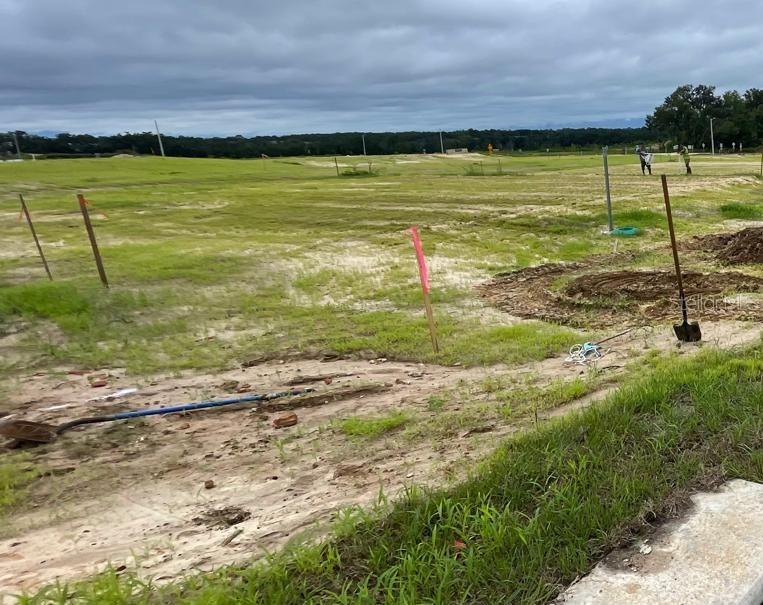 Listing Details for 14415 170th Avenue, ALACHUA, FL 32615