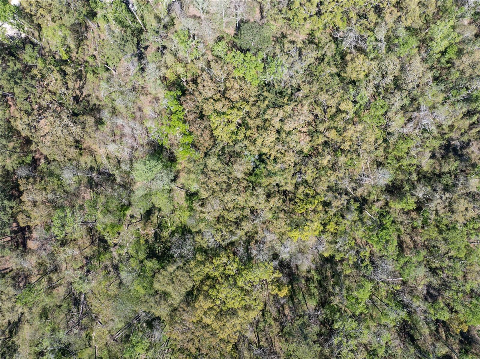 Image 10 of 12 For 9311 86th Street