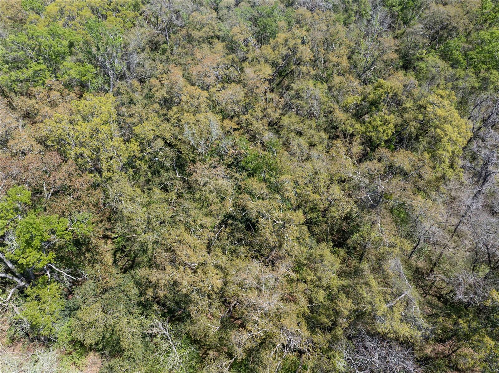 Image 11 of 12 For 9311 86th Street