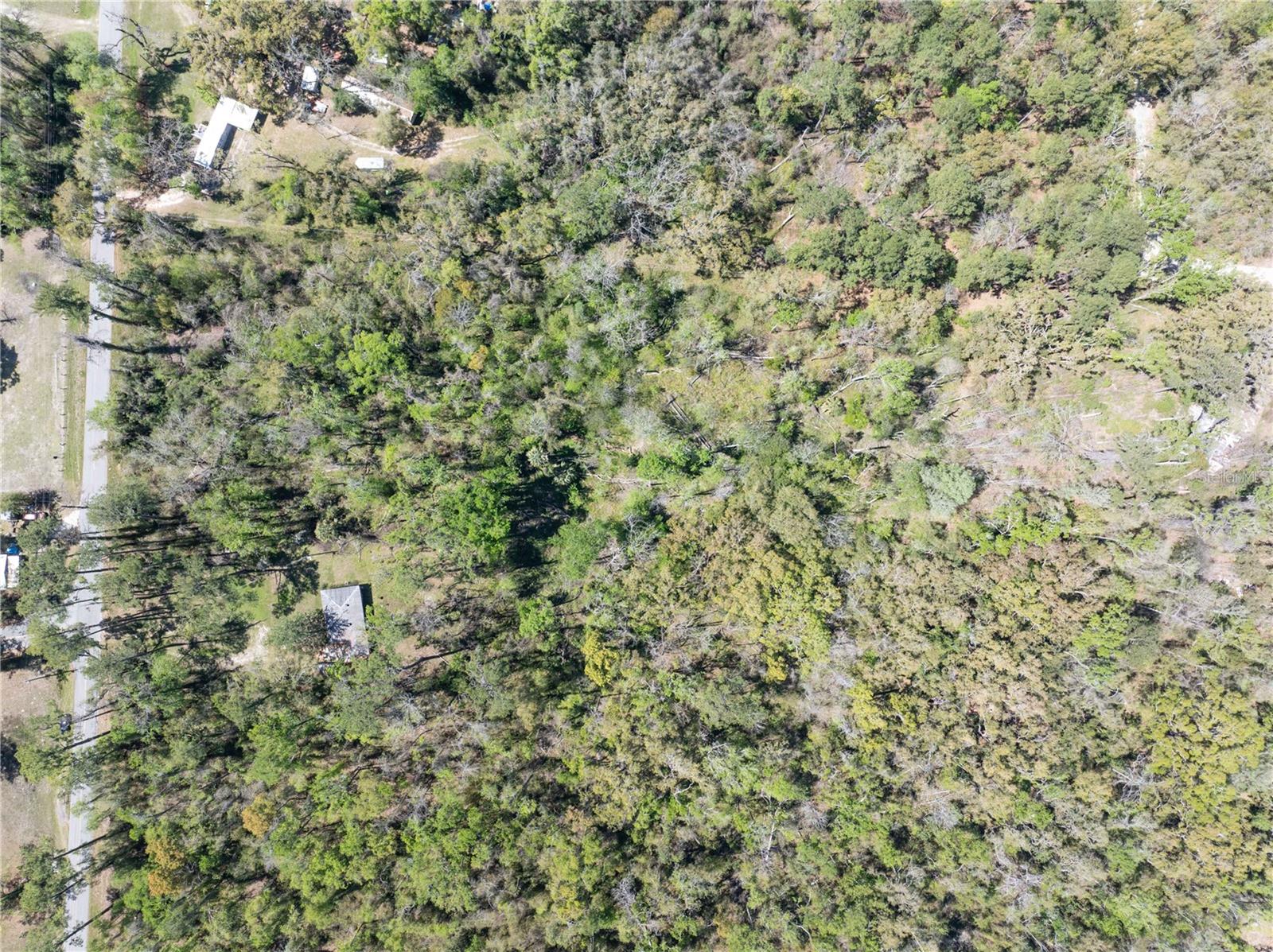 Image 6 of 12 For 9311 86th Street