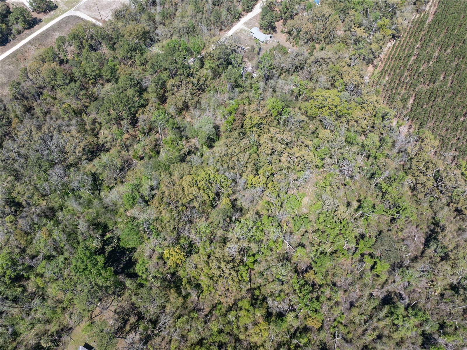 Image 7 of 12 For 9311 86th Street