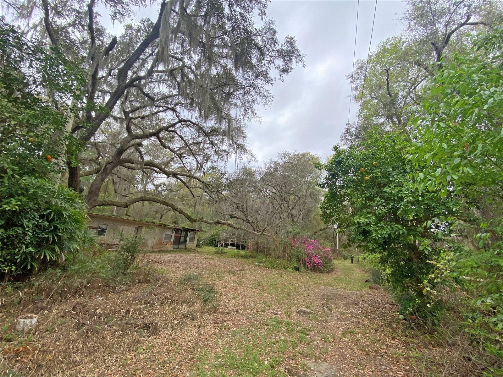 Image 14 of 66 For 119 Twin Lakes Road