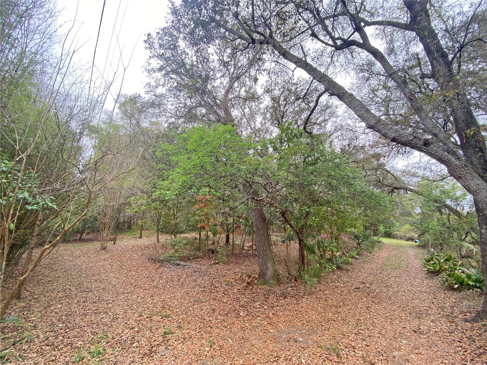 Image 4 of 66 For 119 Twin Lakes Road