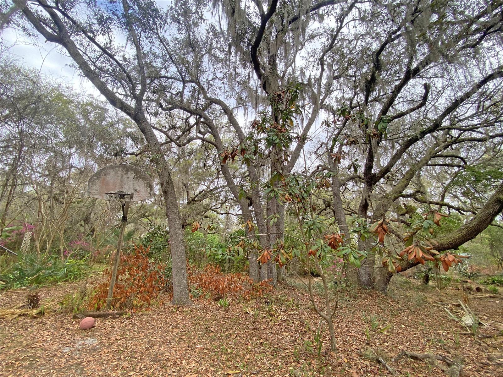 Image 62 of 66 For 119 Twin Lakes Road