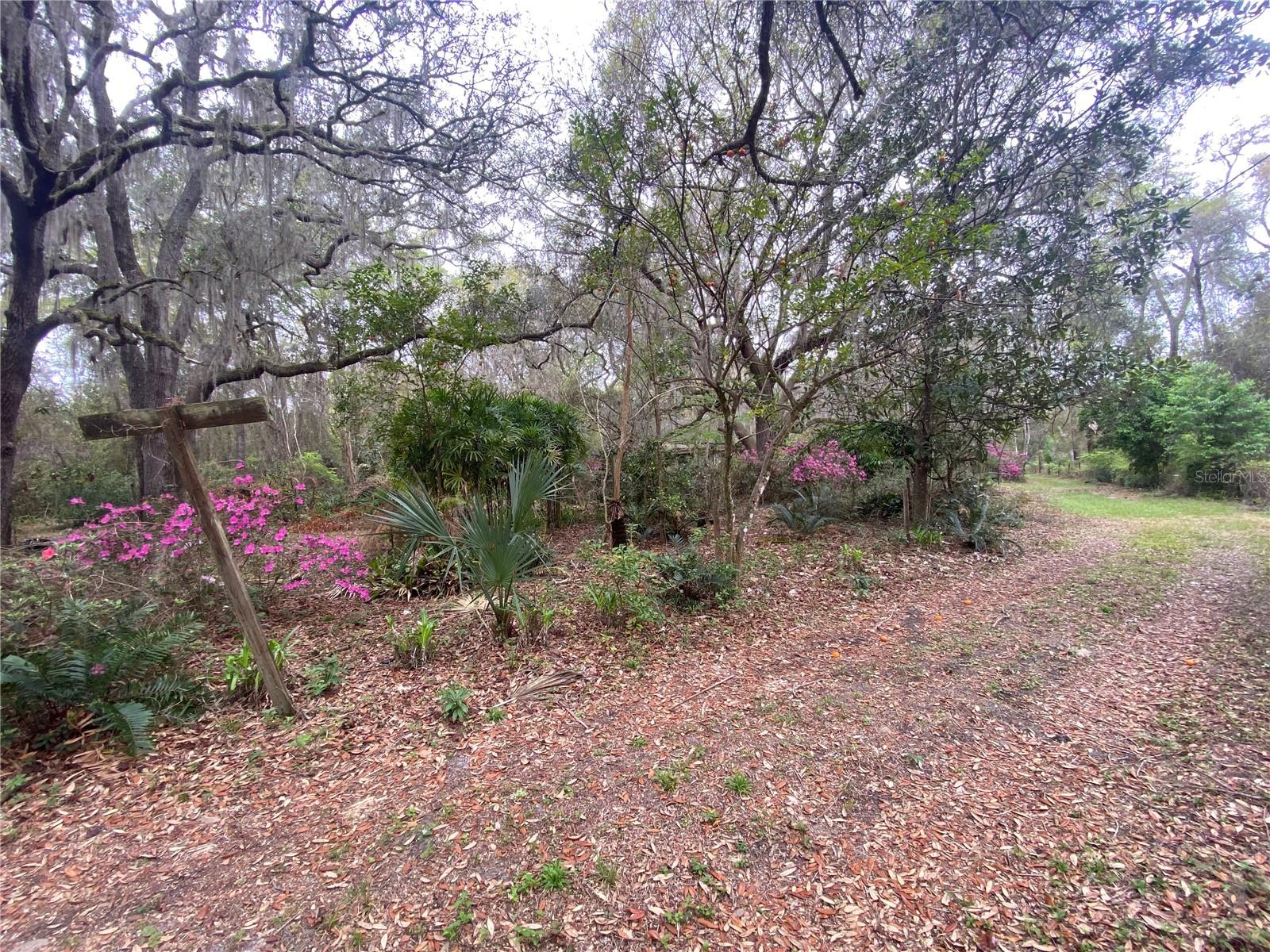 Image 8 of 66 For 119 Twin Lakes Road