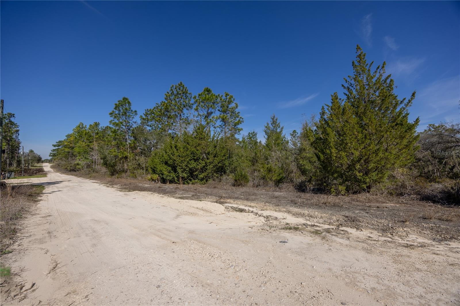 Details for 000 64th Place, WILLISTON, FL 32696