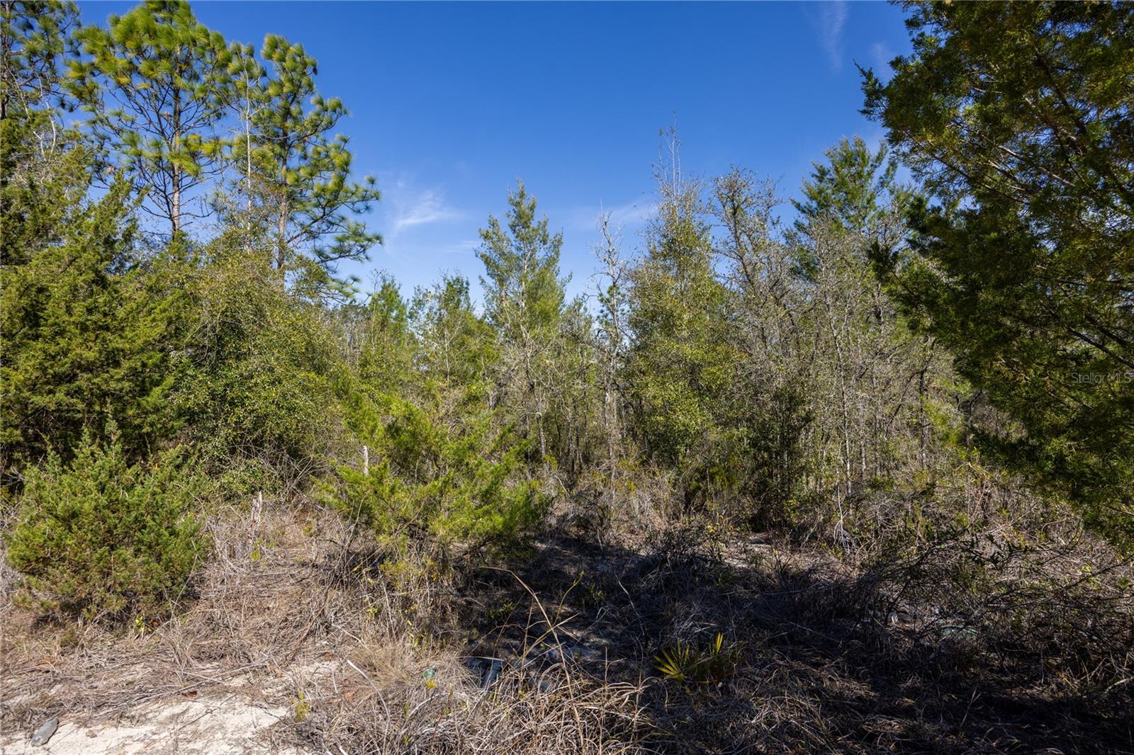 Image 2 of 12 For 000 64th Place