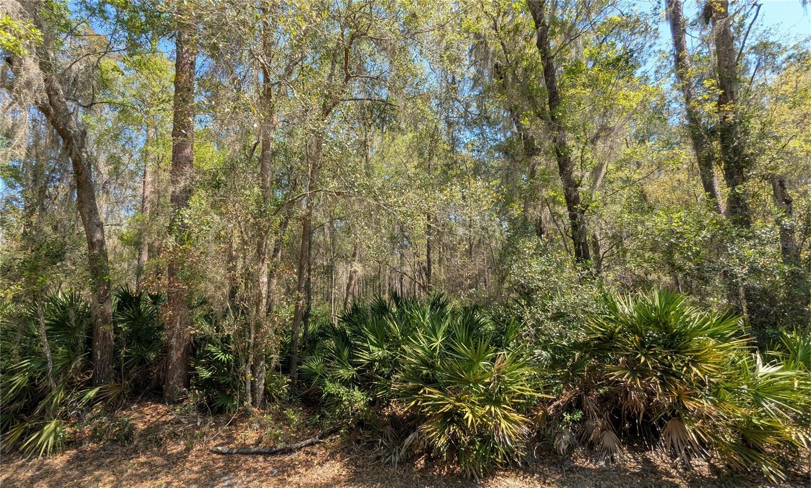 Details for Tbd County Road 234, GAINESVILLE, FL 32641