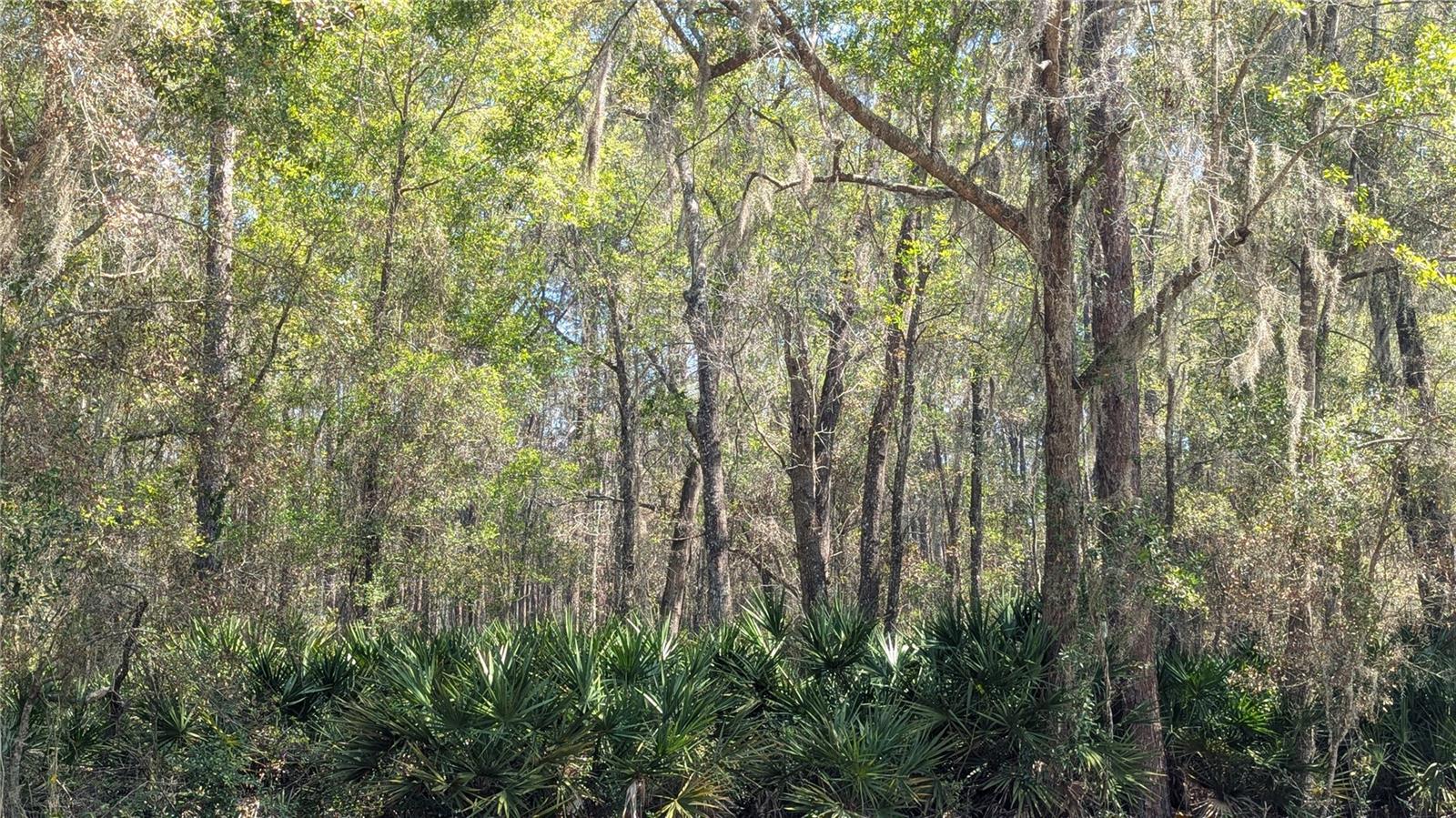 Image 2 of 7 For Tbd County Road 234