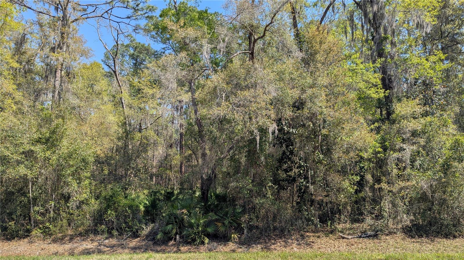 Image 4 of 7 For Tbd County Road 234