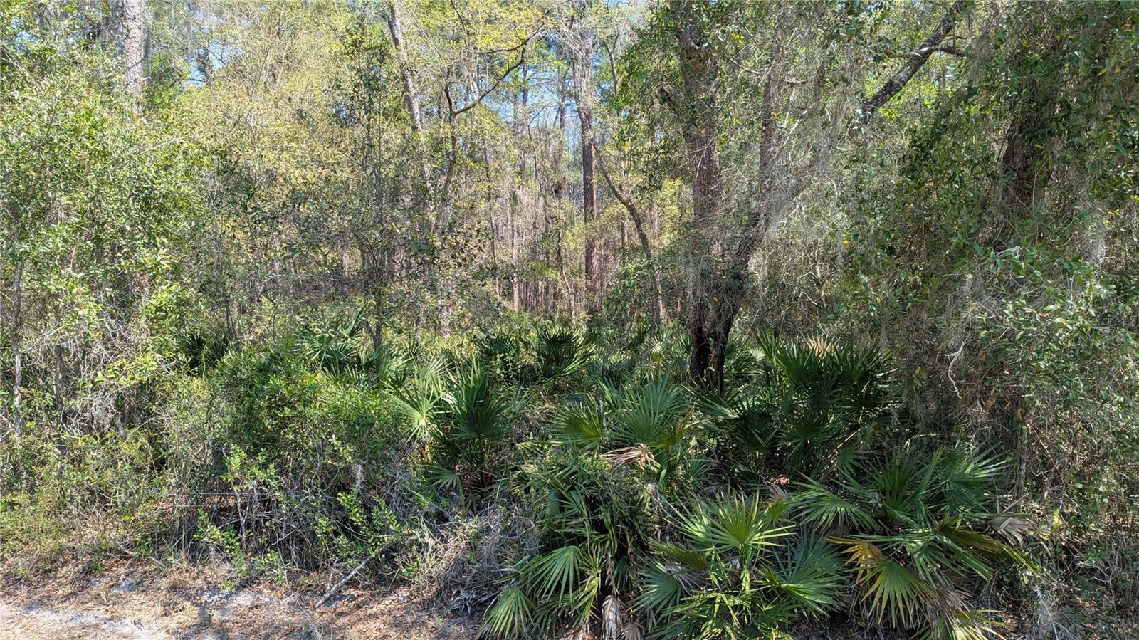 Image 5 of 7 For Tbd County Road 234