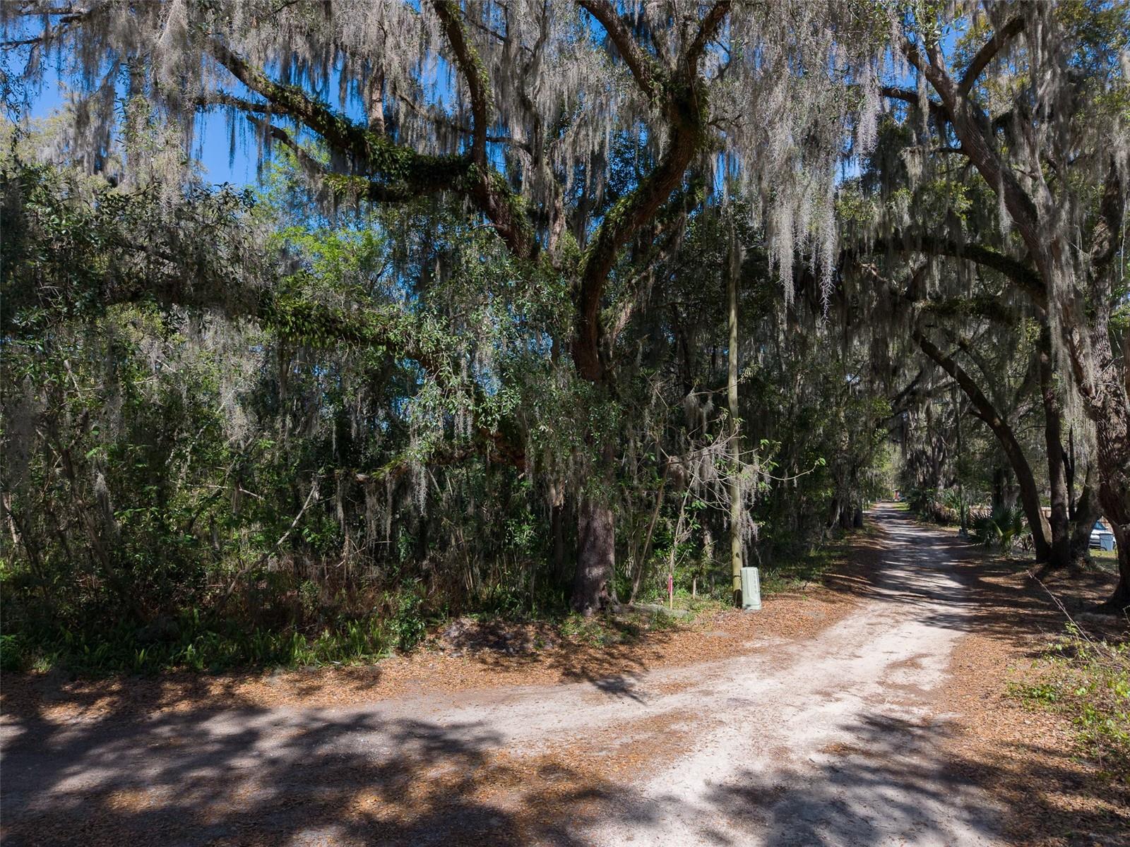 Details for 000 73rd Terrace, HAWTHORNE, FL 32640