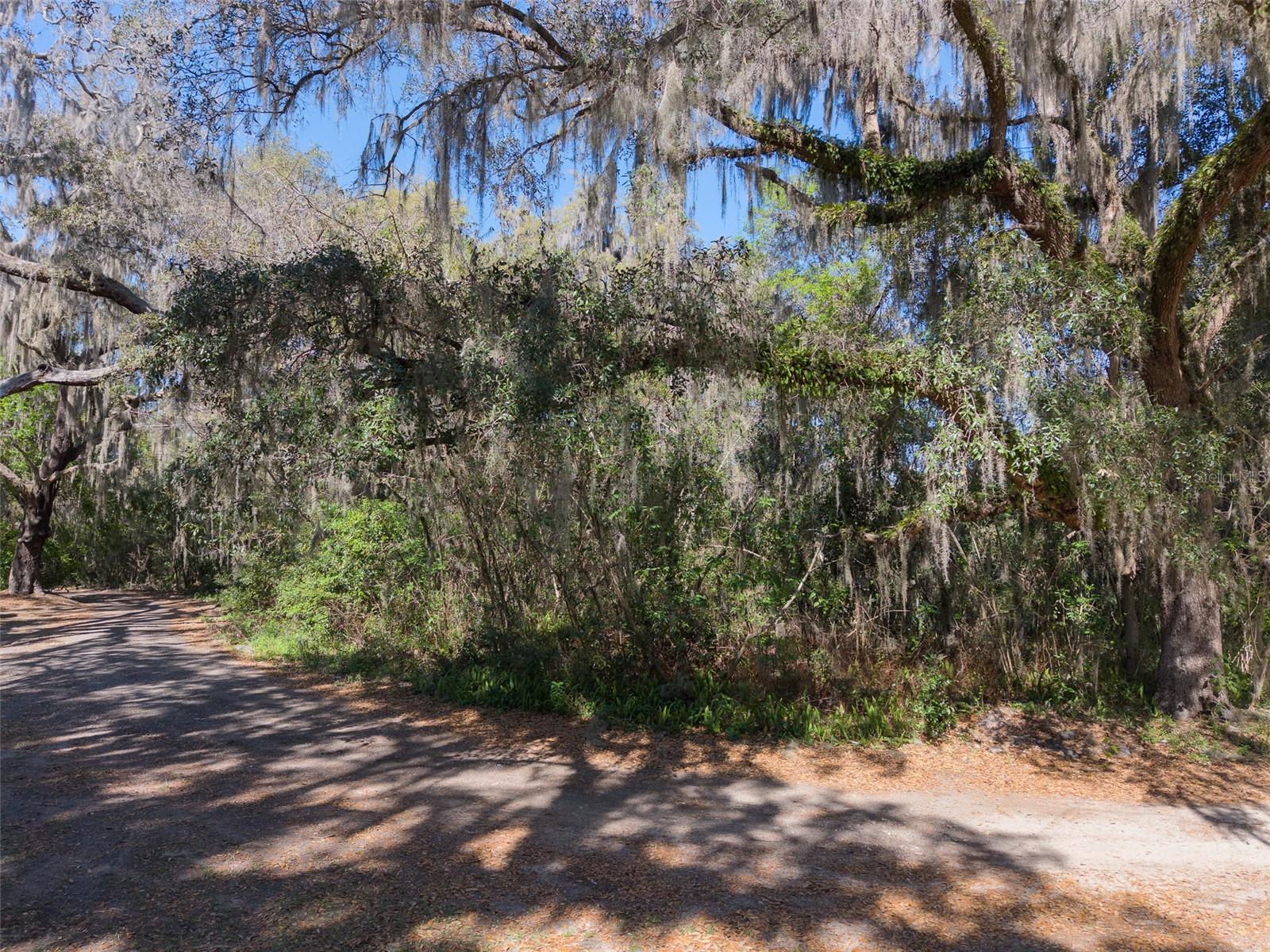 Image 6 of 11 For 000 73rd Terrace