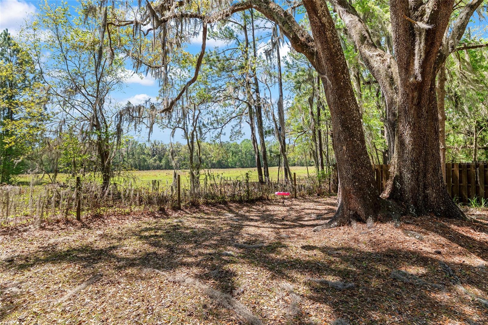 Image 28 of 54 For 10219 4th Place