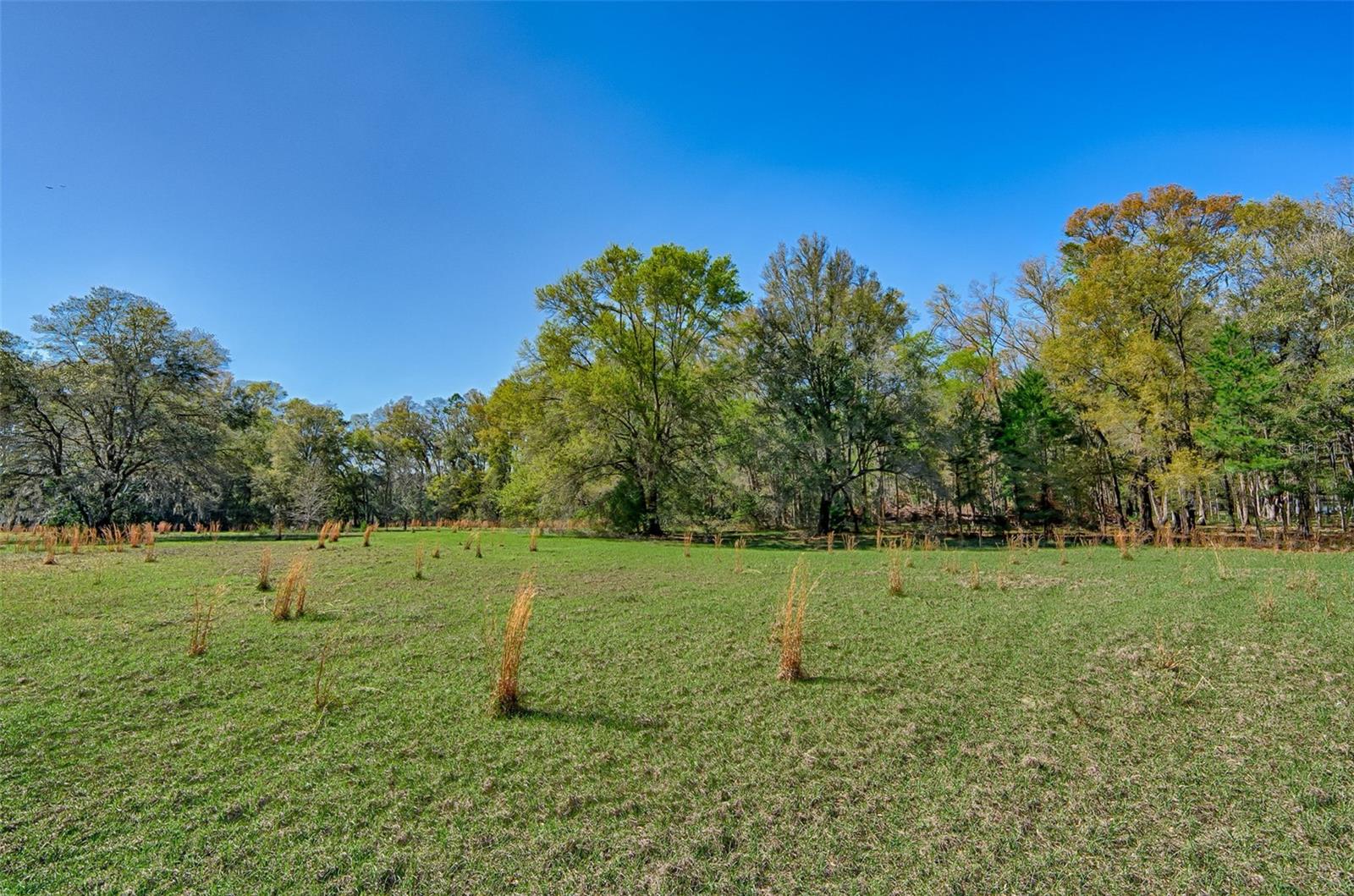 Image 4 of 22 For 2126 170 Street