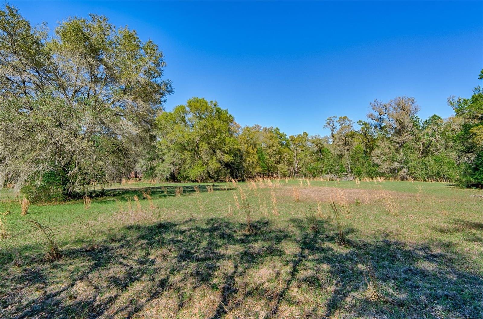 Image 5 of 22 For 2126 170 Street