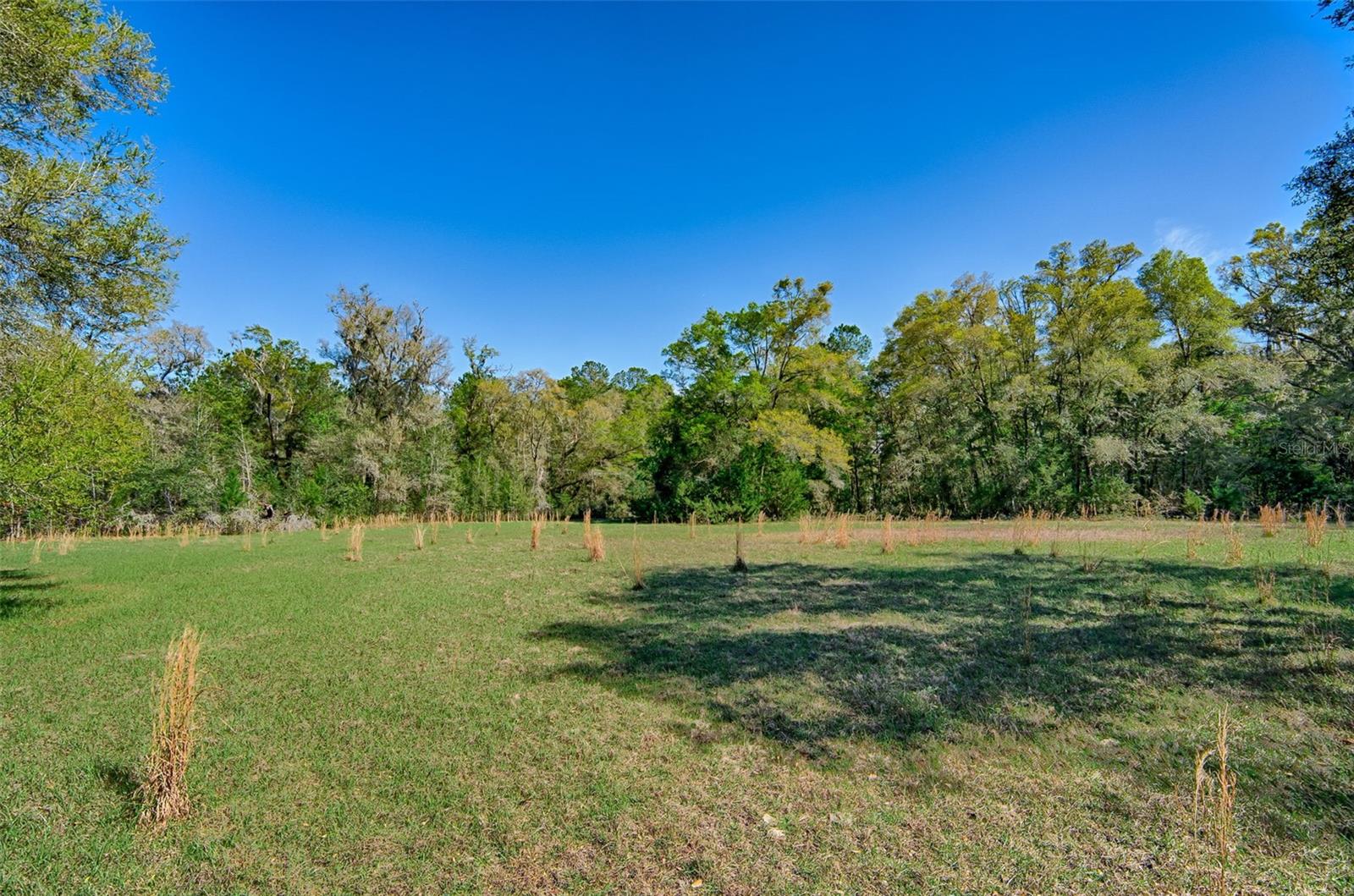 Image 6 of 22 For 2126 170 Street