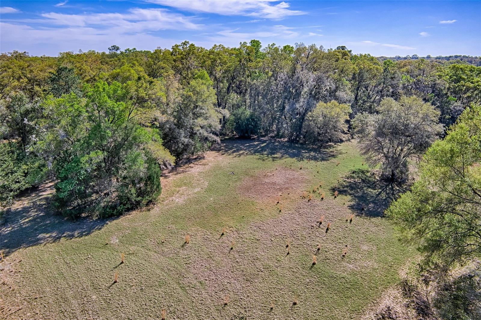 Image 8 of 22 For 2126 170 Street