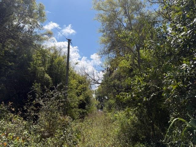 Image 5 of 5 For Doc Karelas Drive