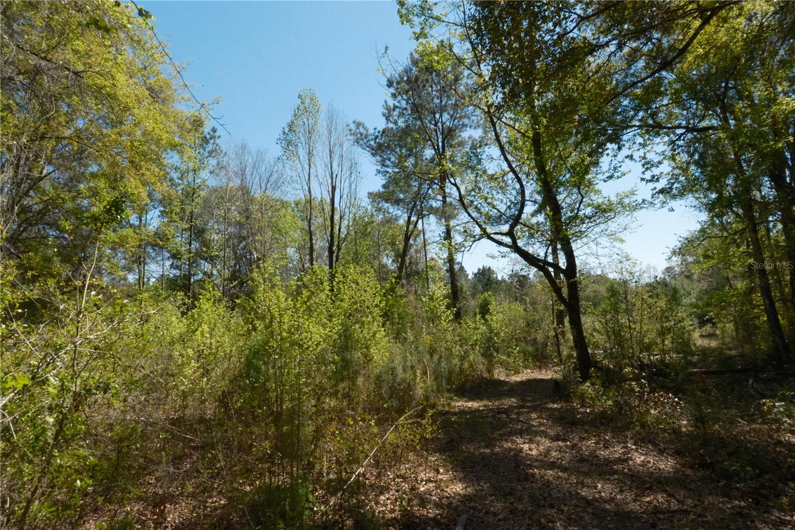 Image 10 of 23 For 000 254th Avenue