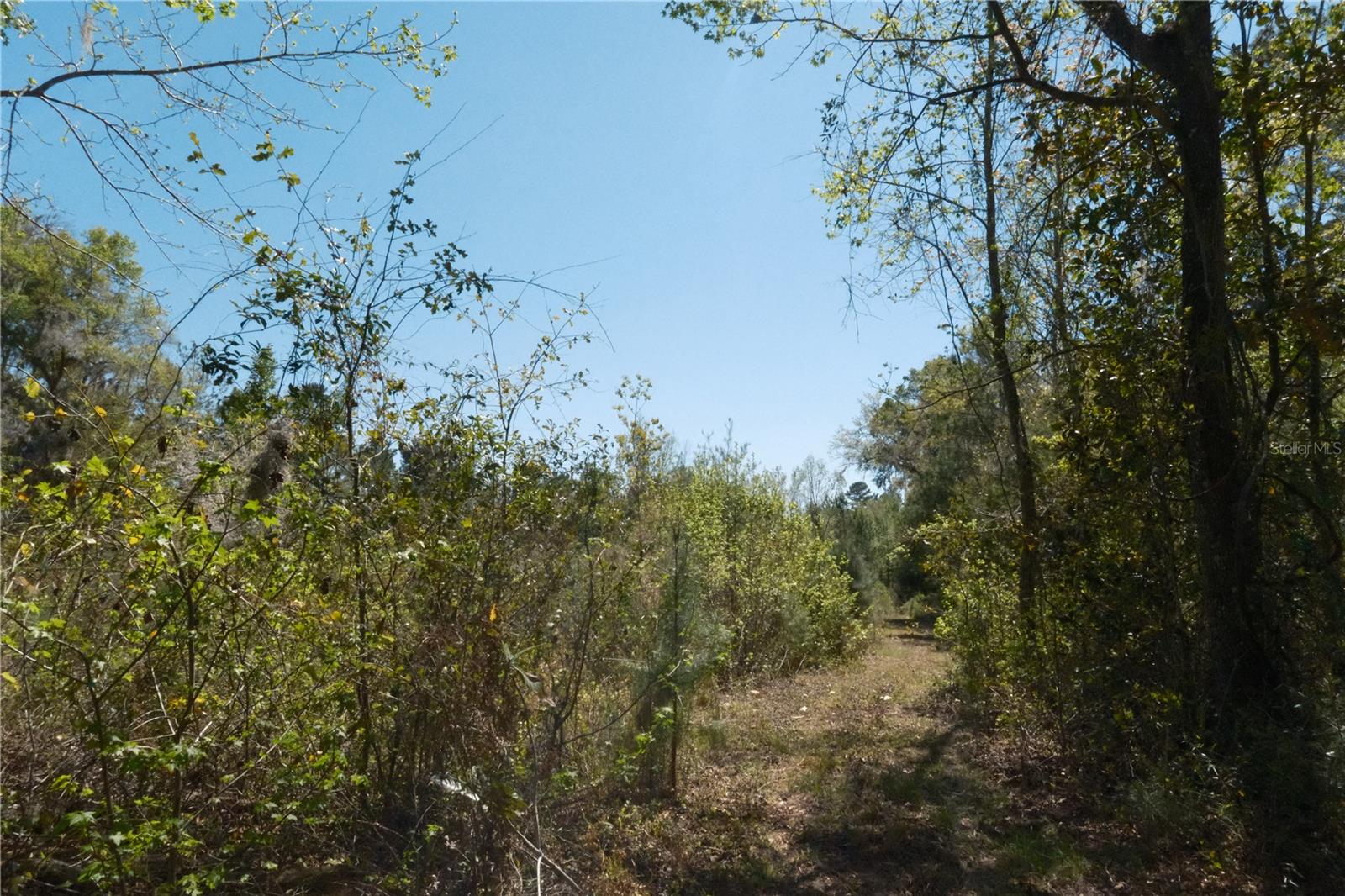 Image 11 of 23 For 000 254th Avenue