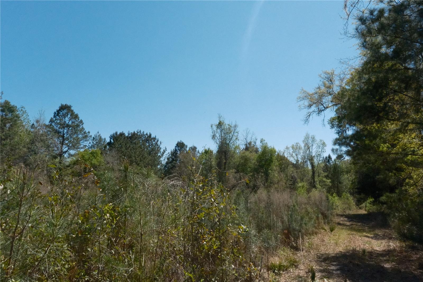 Image 12 of 23 For 000 254th Avenue