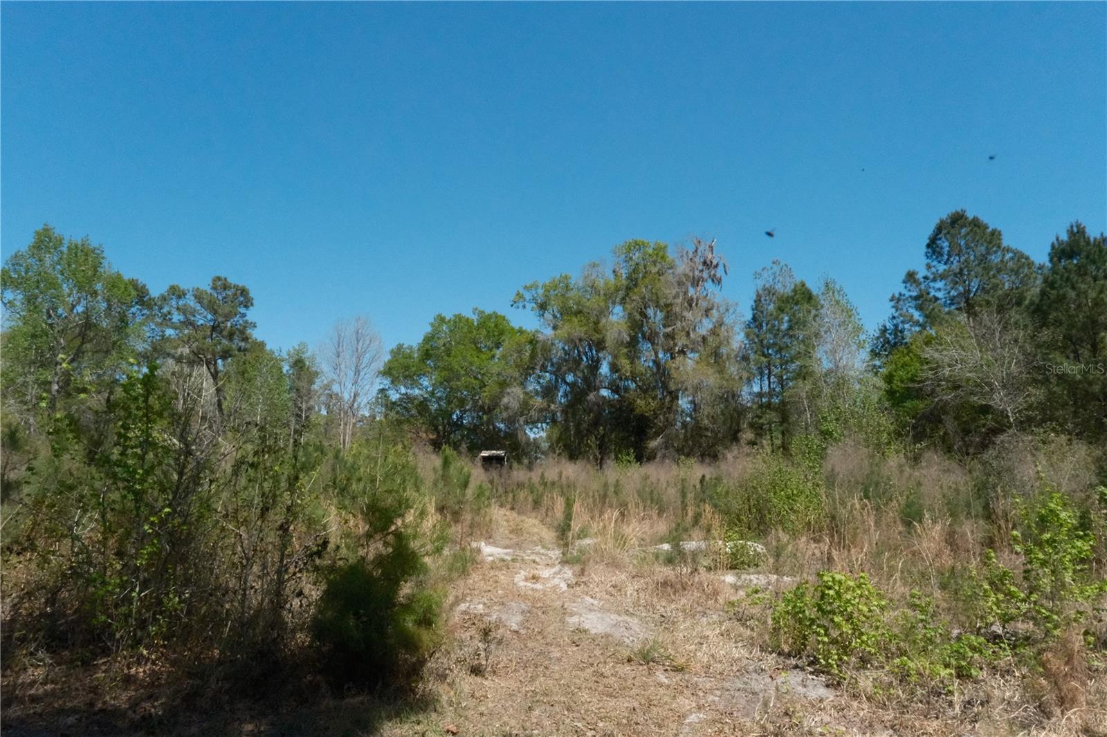 Image 13 of 23 For 000 254th Avenue