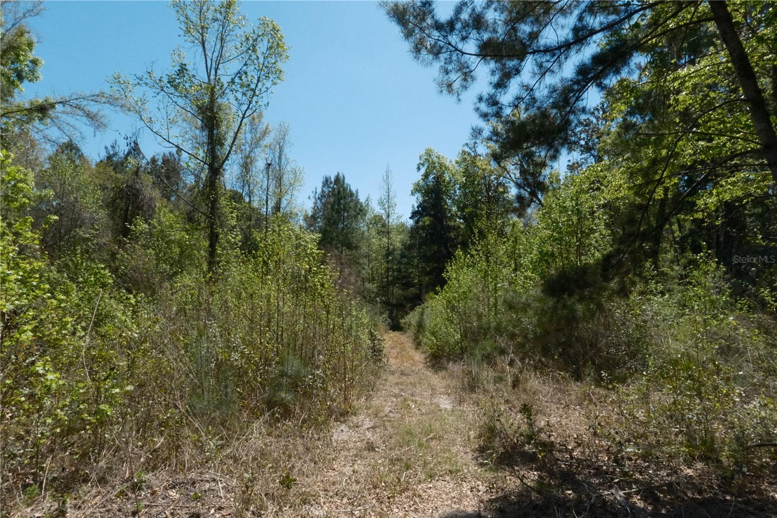 Image 14 of 23 For 000 254th Avenue