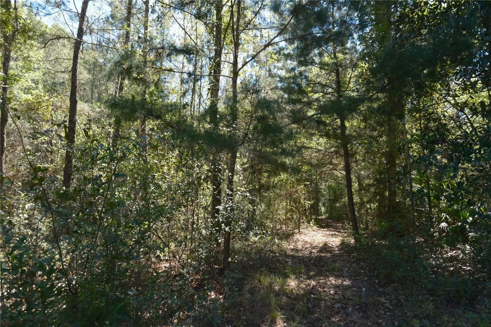 Image 15 of 23 For 000 254th Avenue