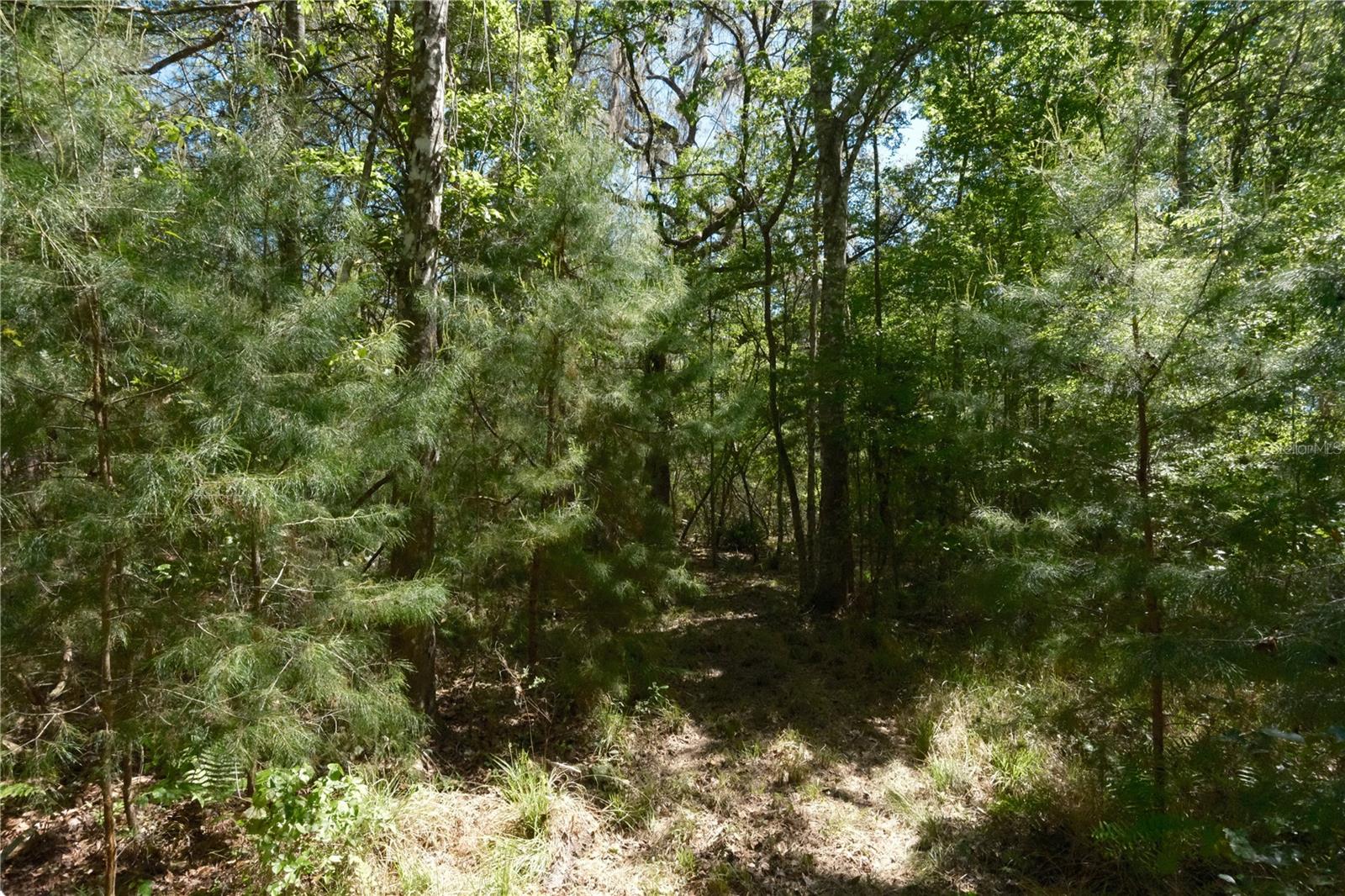 Image 16 of 23 For 000 254th Avenue