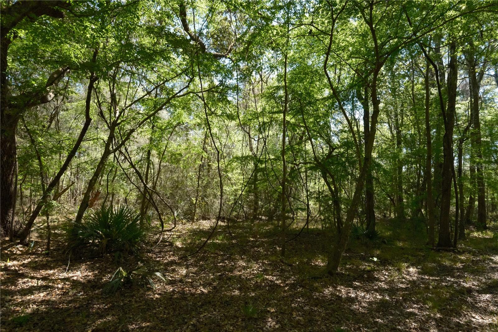 Image 17 of 23 For 000 254th Avenue