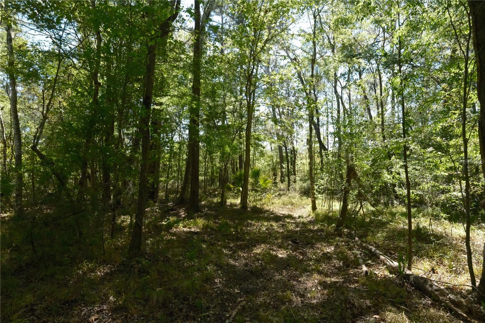 Image 18 of 23 For 000 254th Avenue