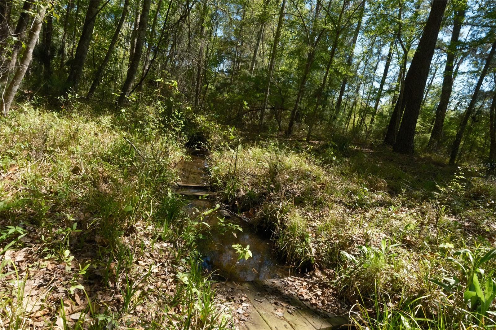 Image 19 of 23 For 000 254th Avenue