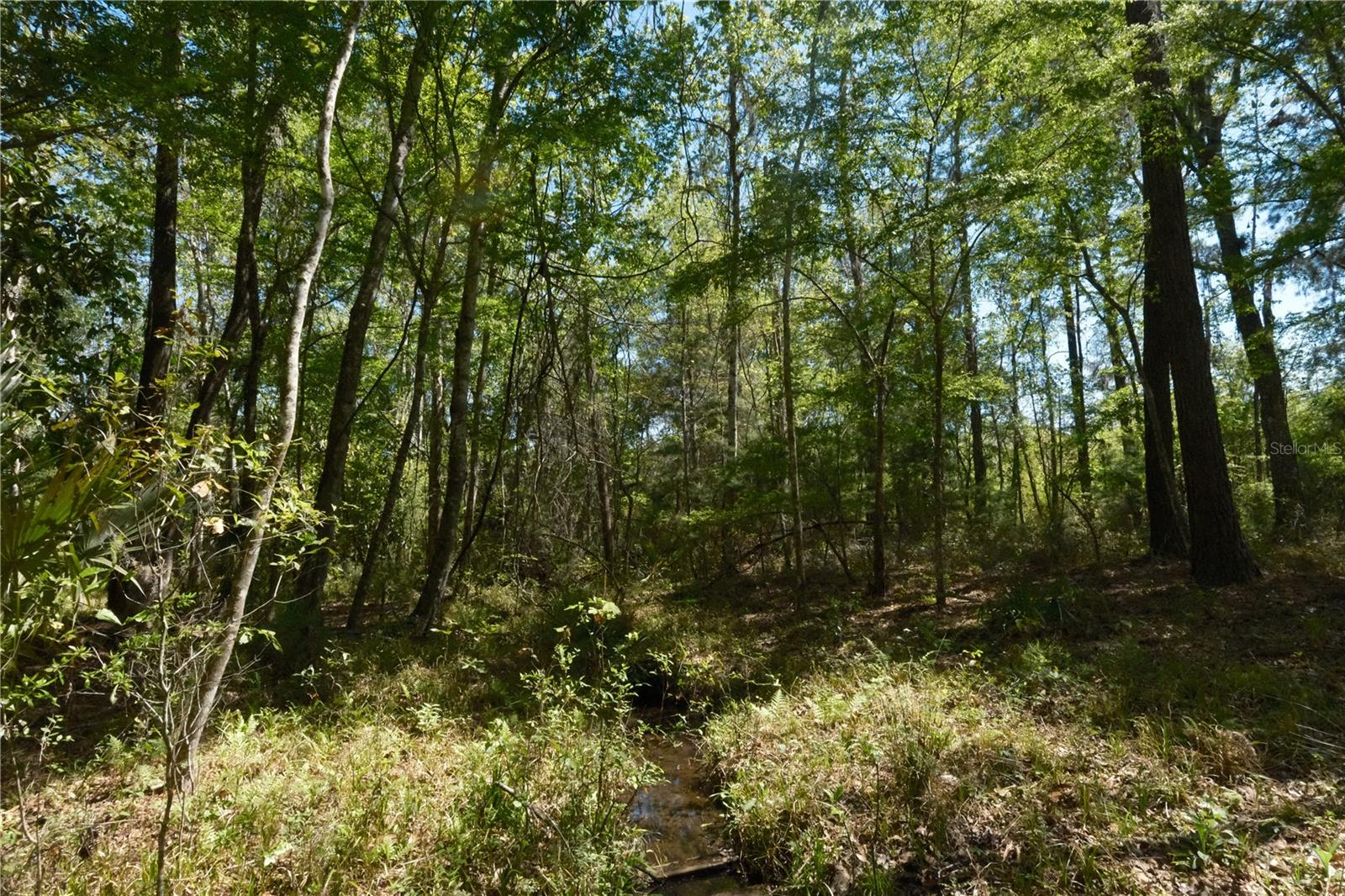 Image 20 of 23 For 000 254th Avenue