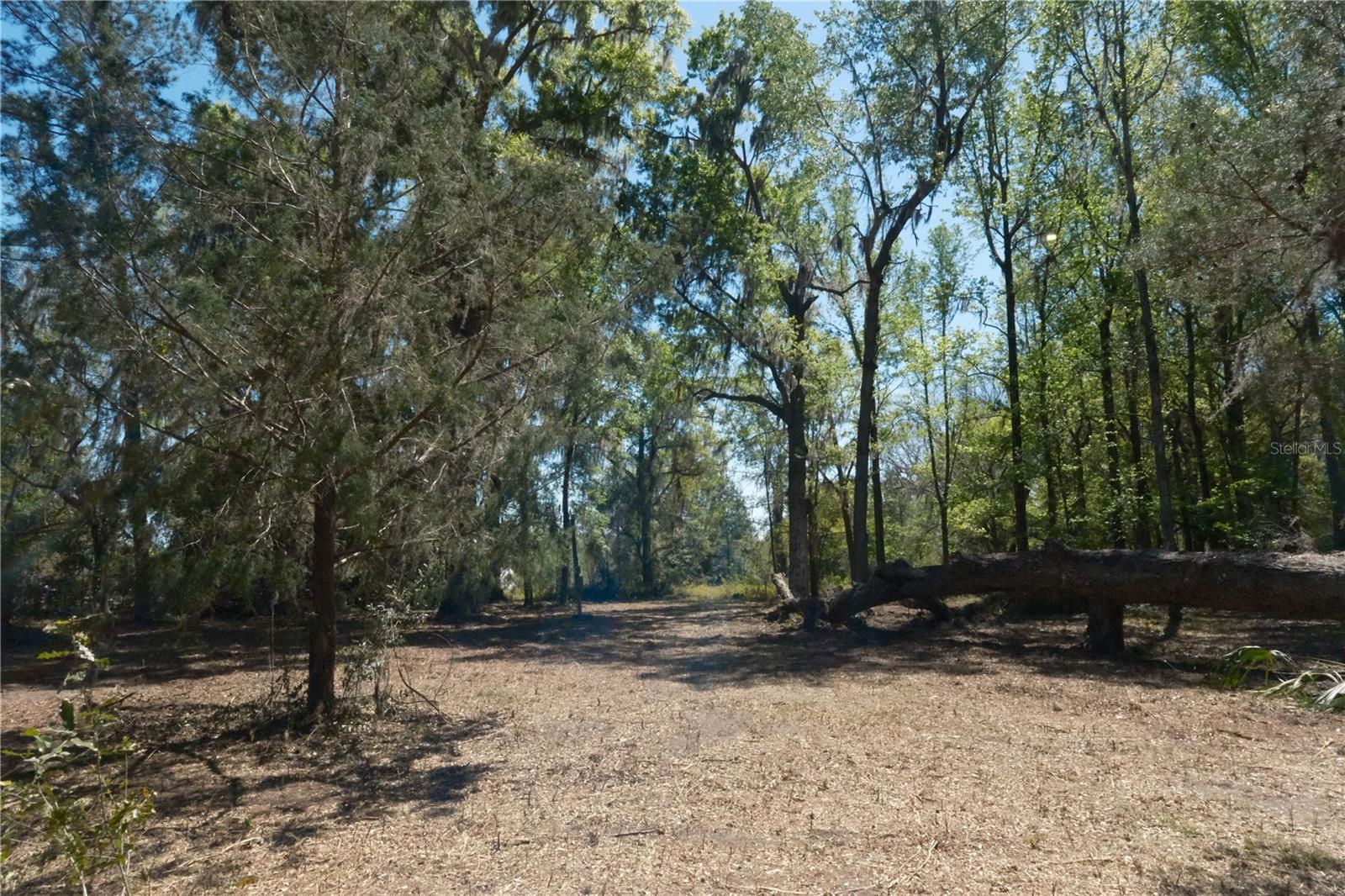 Image 4 of 23 For 000 254th Avenue