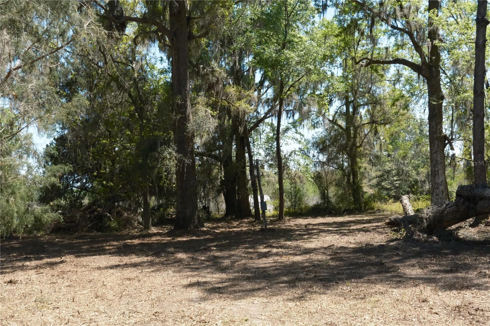 Image 5 of 23 For 000 254th Avenue