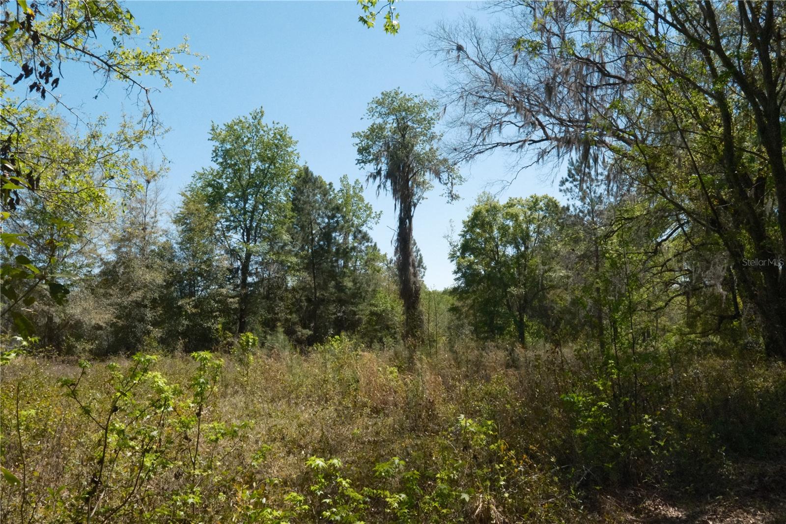 Image 8 of 23 For 000 254th Avenue