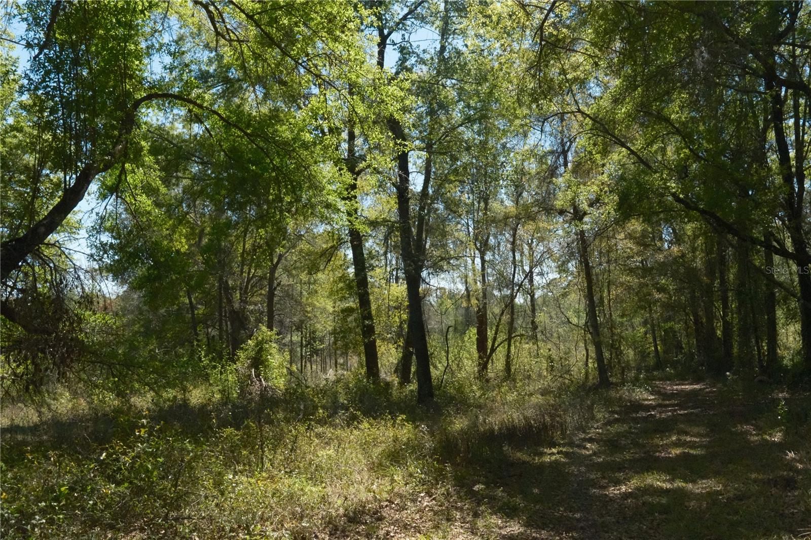 Image 9 of 23 For 000 254th Avenue