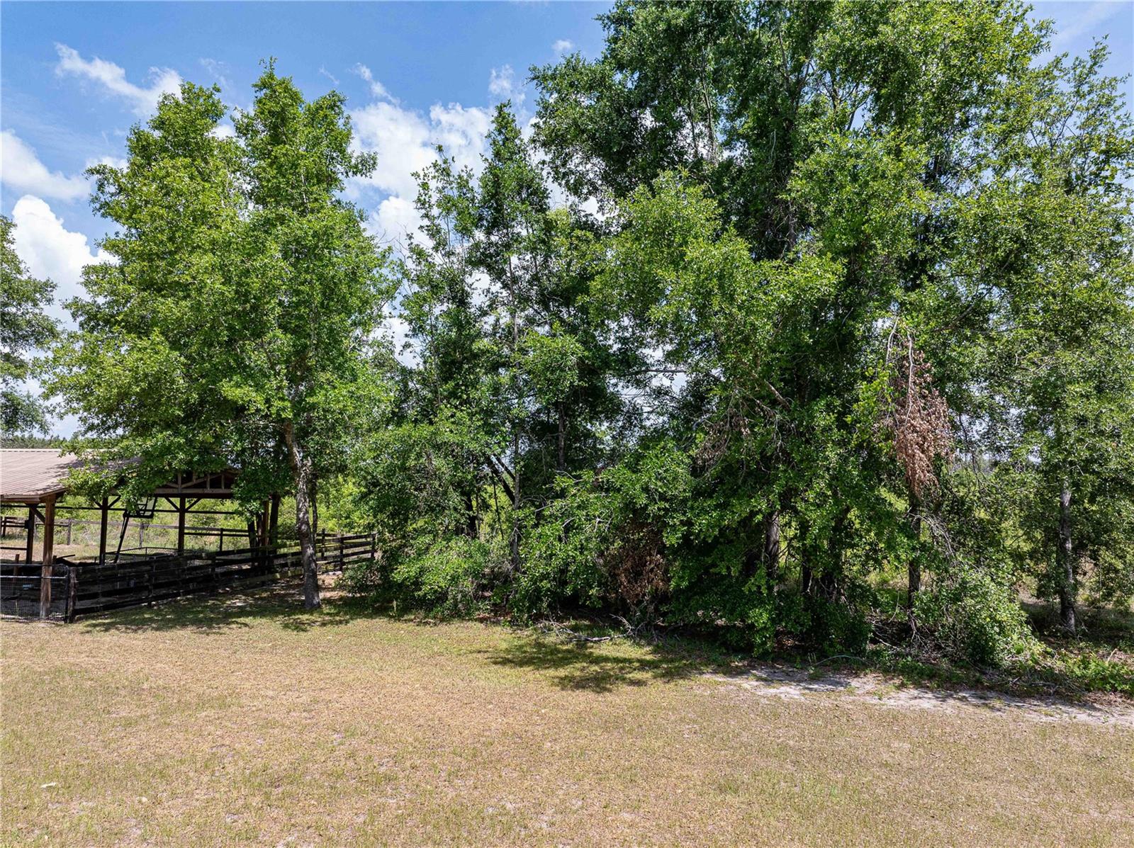 Image 31 of 40 For 15527 194th Place