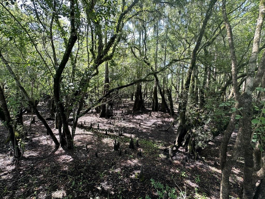 Image 4 of 56 For 2410 117th Pl