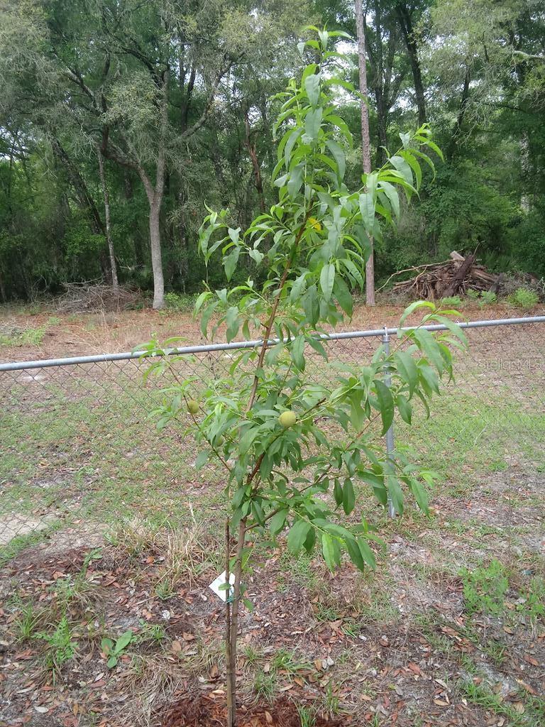 Image 45 of 56 For 2410 117th Pl