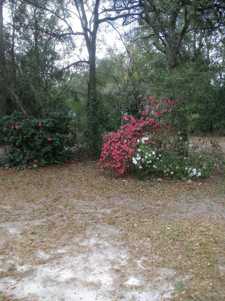 Image 46 of 56 For 2410 117th Pl