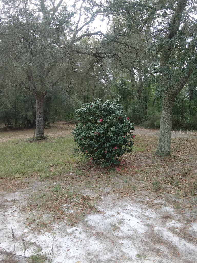 Image 47 of 56 For 2410 117th Pl