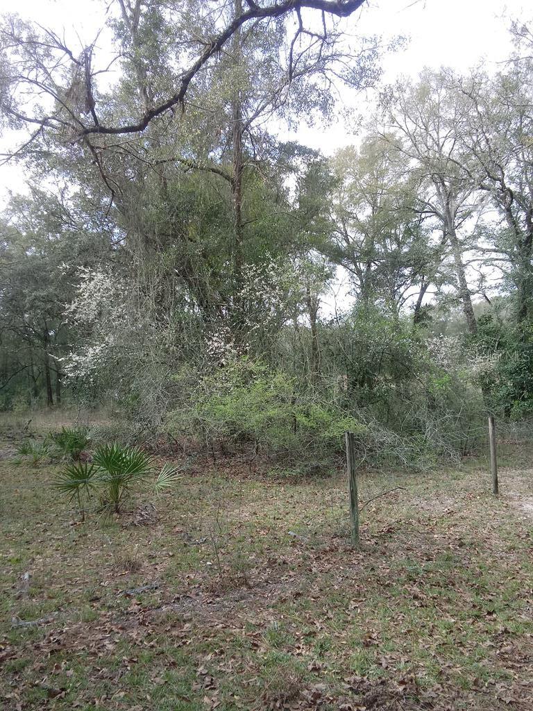 Image 48 of 56 For 2410 117th Pl