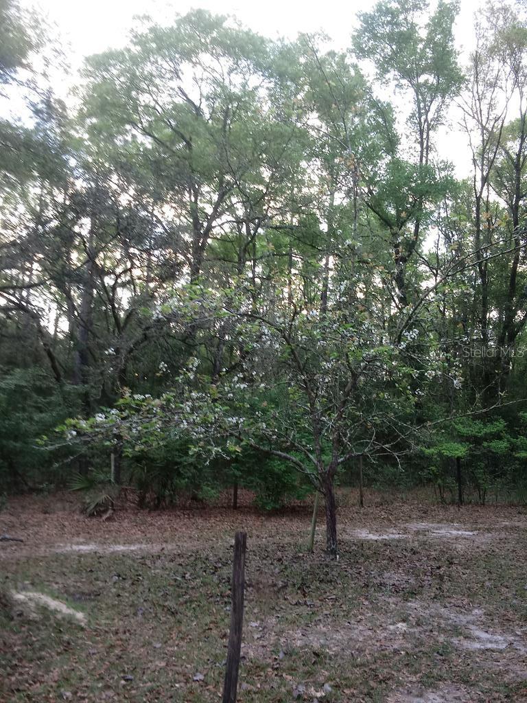 Image 49 of 56 For 2410 117th Pl