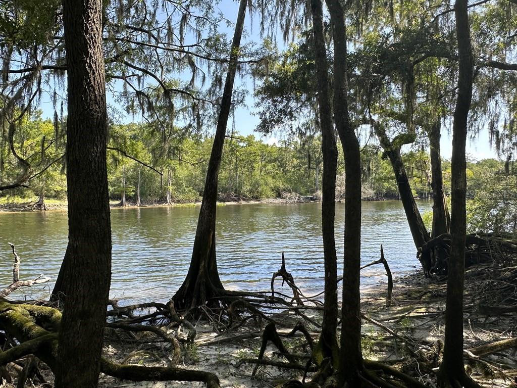 Image 5 of 56 For 2410 117th Pl