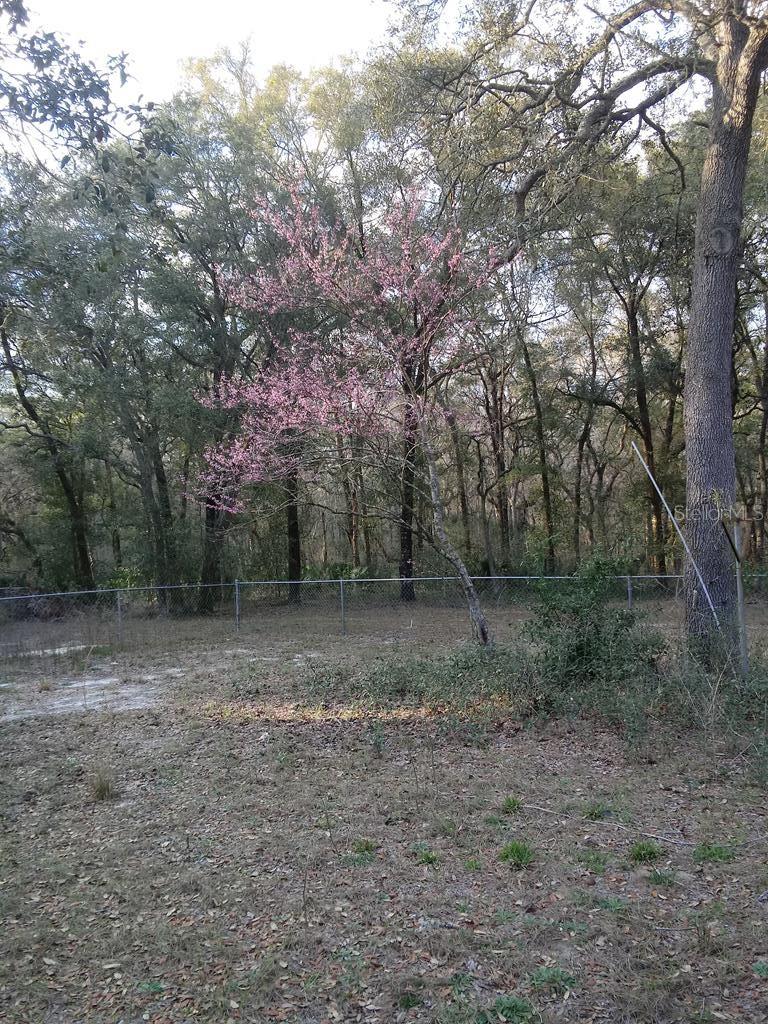 Image 51 of 56 For 2410 117th Pl