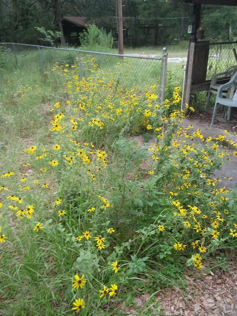 Image 52 of 56 For 2410 117th Pl